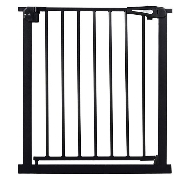 momi-paxi-damtsavi-jebiri