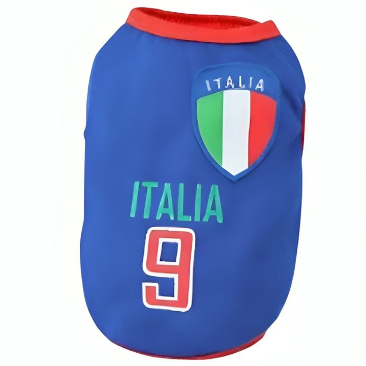 italy-l-dzaghlis-tansatsmeli