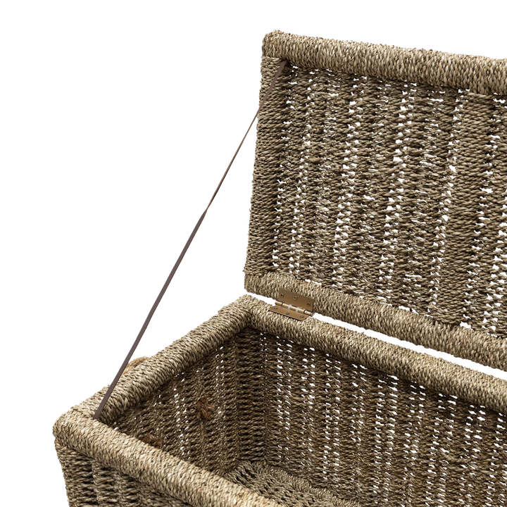 laboratory-my-home-satavso-photo-3