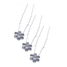 Product image of TITANIA თმის სამაგრი პინები