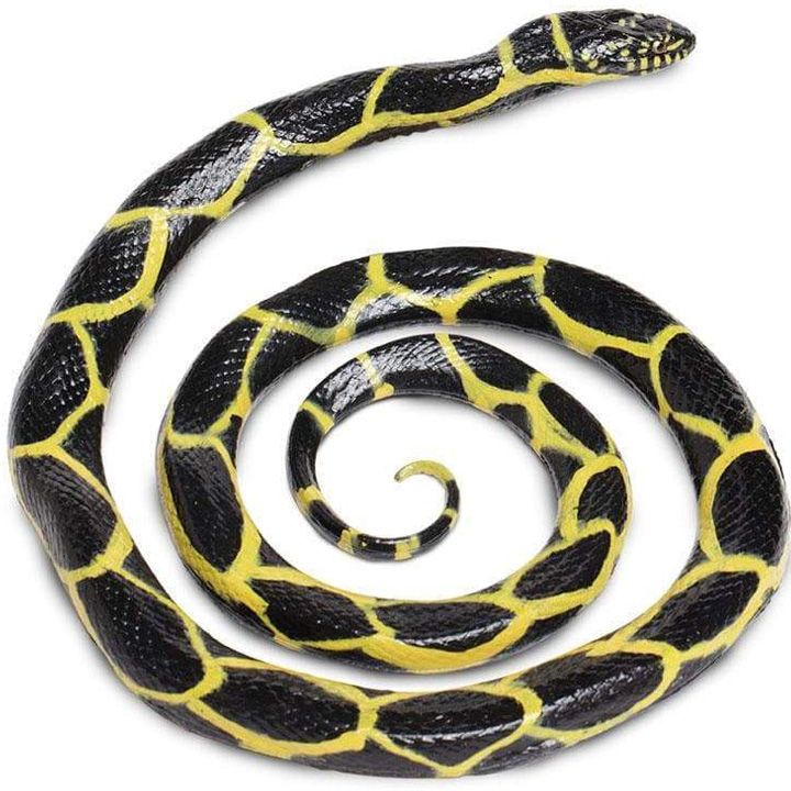 safari-chain-kingsnake-satamasho-figura-photo-4