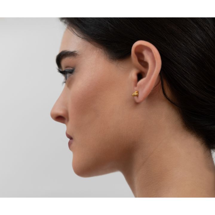 chronos-saqure-lomis-tavebit-photo-2