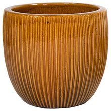 Product image of MEGA COLLECTIONS PORTLY EGG RIB HONEY D50XH45 სმ 81 ლ კერამიკული ქოთანი ყვავილებისთვის