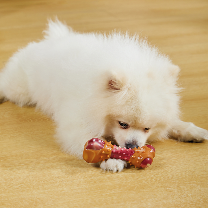 m-pets-carnivore-dzaghlis-satamasho-jokhi-dzvali-s-photo-2