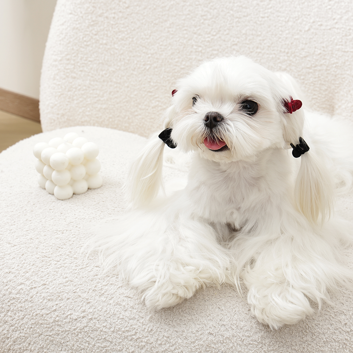 m-pets-glam-gulis-formis-tmis-samagri-tskhovelebistvis-photo-2