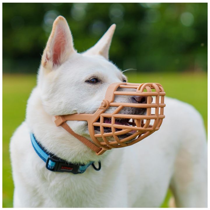 baskerville-classic-alikapi-dzaghlebistvis-photo-2