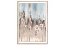 Product image of სურათი ჩარჩოში Styler FP056 GRASS 50X70