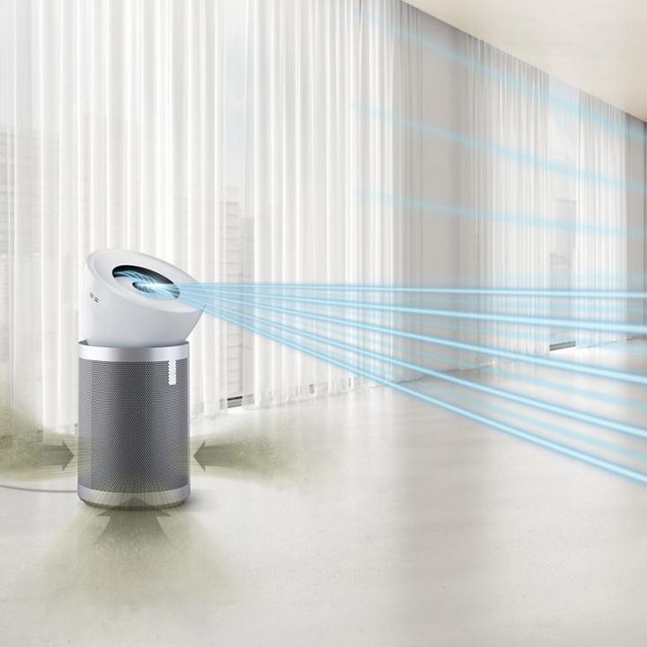 dyson-bp02-haeris-gamtsmendi-photo-2