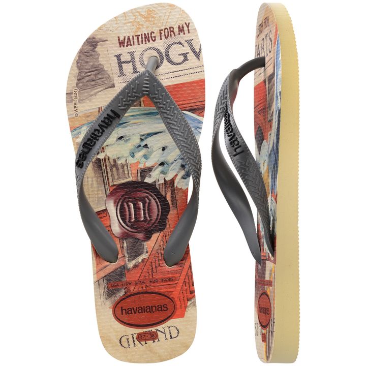 havaianas-top-warner-classics-unisex-shlapunebi-photo-2