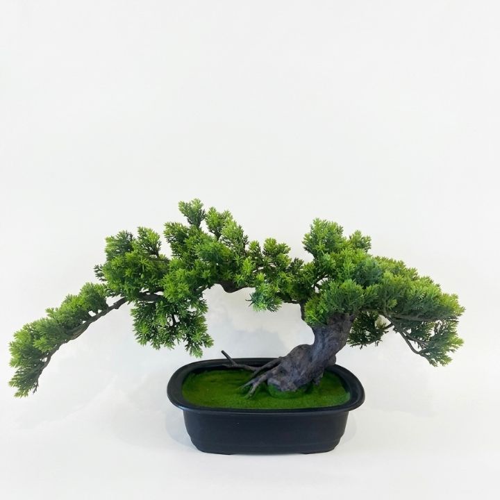 eterna--dekoratiuli-khe-bonsai-502528