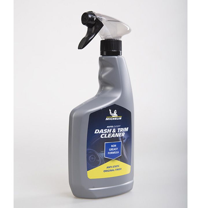 michelin-avtomobilis-panelisa-da-salonis-priala-satsmendi-photo-2