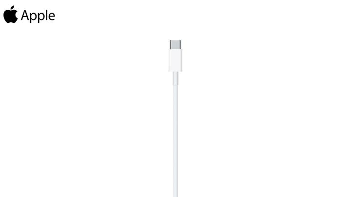apple-mm0a3zm-a2561-usb-c-to-lightning-cable-1m-photo-2