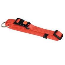 Product image of KERBL ძაღლის საყელო