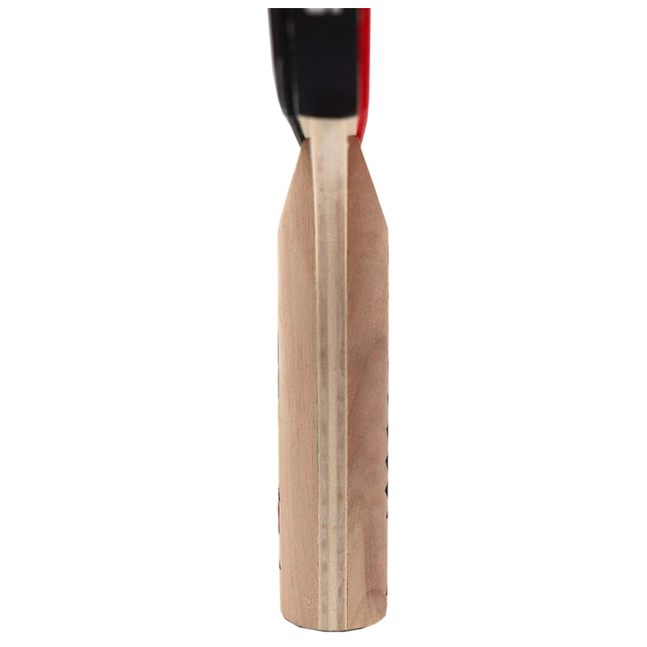 sunflex-tt-bat-boost-magidis-chogburtis-chogani-photo-3