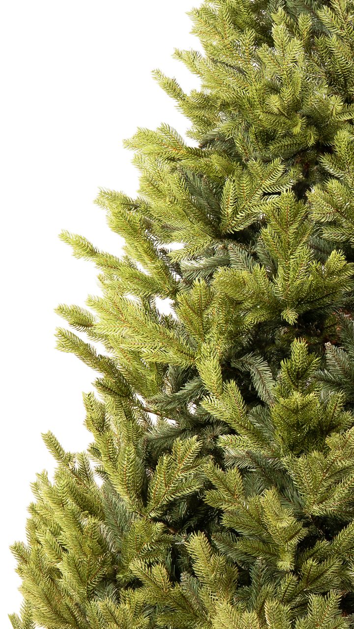 narnari-250sm---dizaineruli-nadzvis-khe-shako-da-ninosgan-photo-3