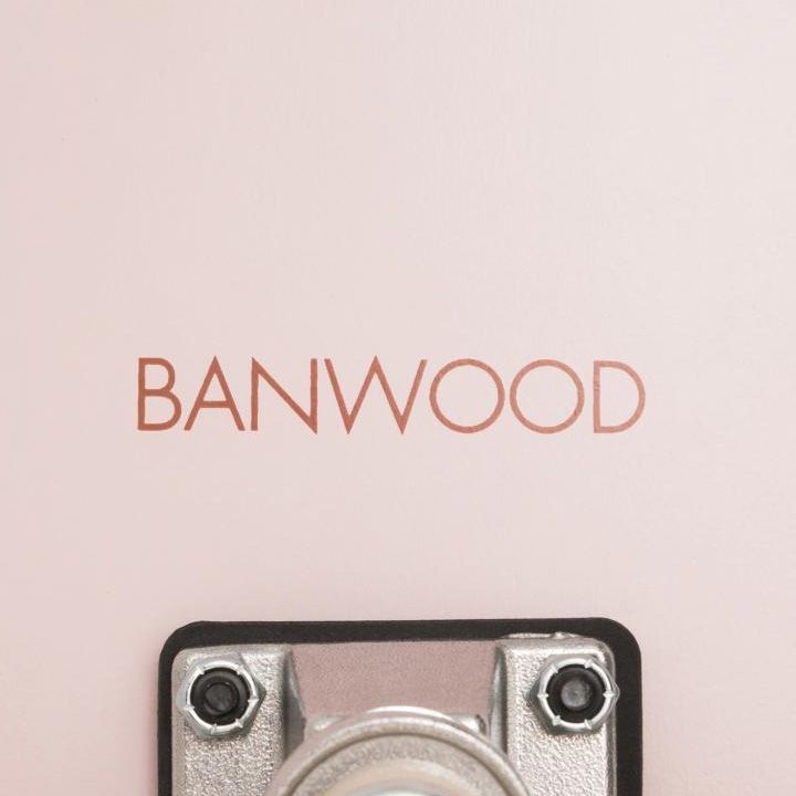 banwood-skeitbordi-photo-3