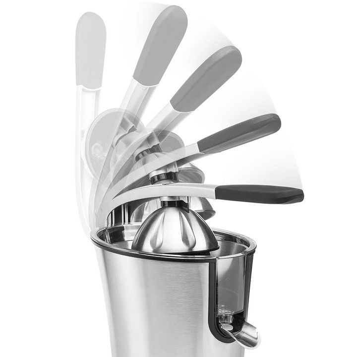 princess-tsitrusis-tsvensatsuri-photo-4