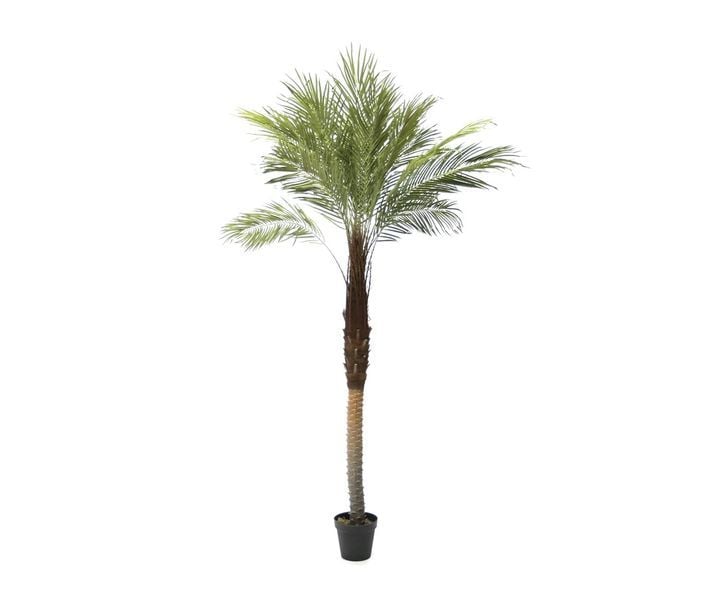 laboratory-my-home-khelovnuri-mtsenare