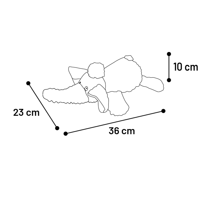 flagino-dt-fanto-elephant-dzaghlis-satamasho-photo-3