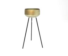 Product image of LABORATORY MY HOME ქოთანი