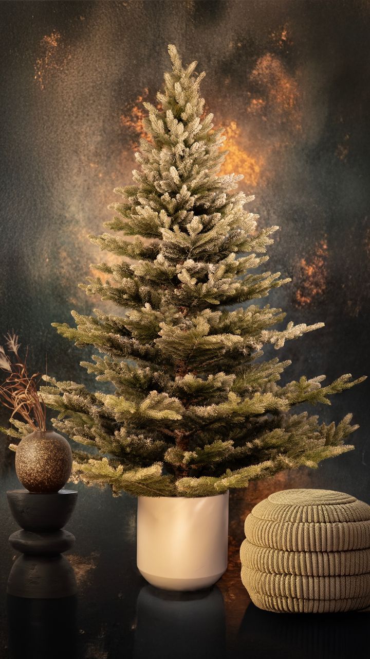 malali-220sm-kristali---dizaineruli-nadzvis-khe-shako-da-ninosgan-photo-2