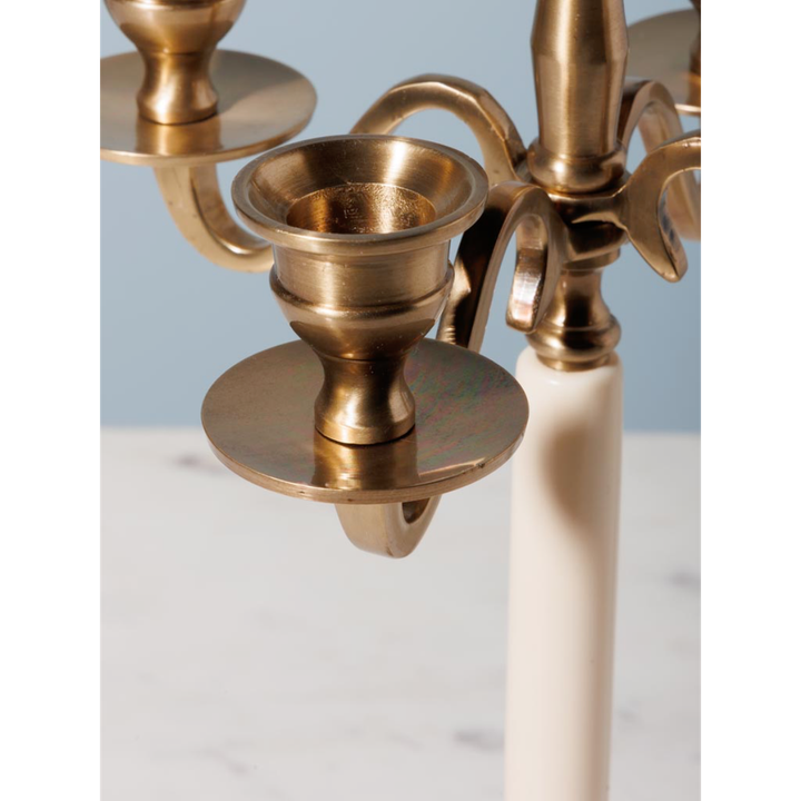 laboratory-my-home-sasantle-photo-4