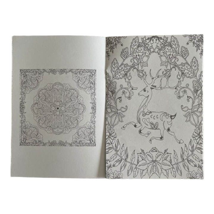 mystery-garden-a5-gasaferadebeli-rveuli-photo-2