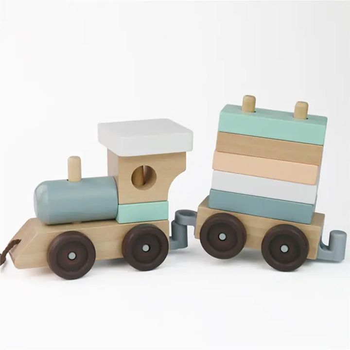 montessori-train-gansavitarebeli-satamasho-matarebeli-photo-2