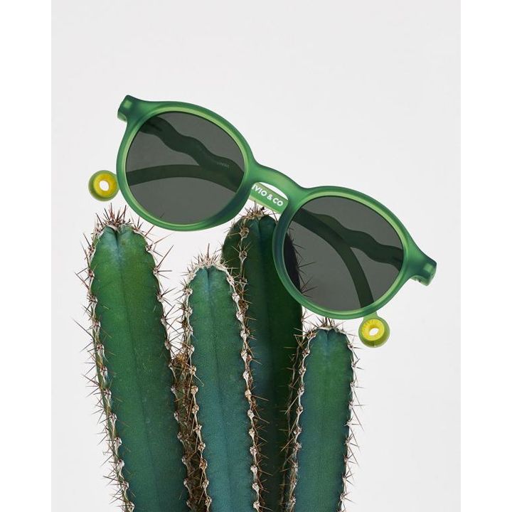 olivio-co-classic-olivio-bavshvis-mzis-satvale-photo-3