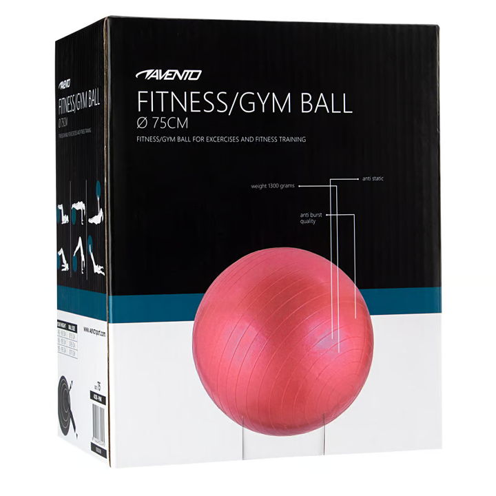 schreuderssport-fitnessgym-ball-75cm-fitnes-burti-fitnesis-burti-photo-2