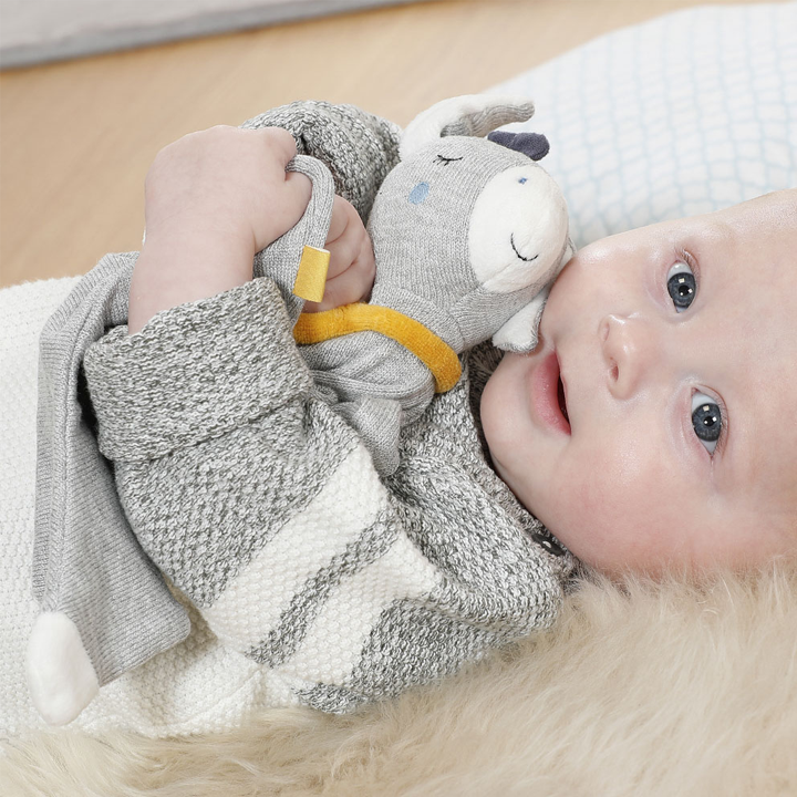 fehn-baby-comforter-donkey-chvilis-satamasho-photo-3