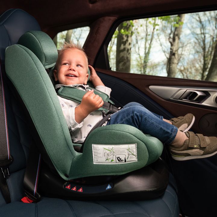 lorelli-scorpius-manqanis-savardzeli-photo-2