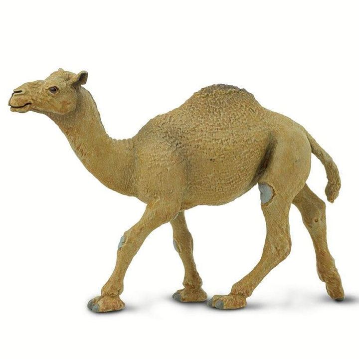 safari-dromedary-camel-toy-satamasho-figura-photo-4