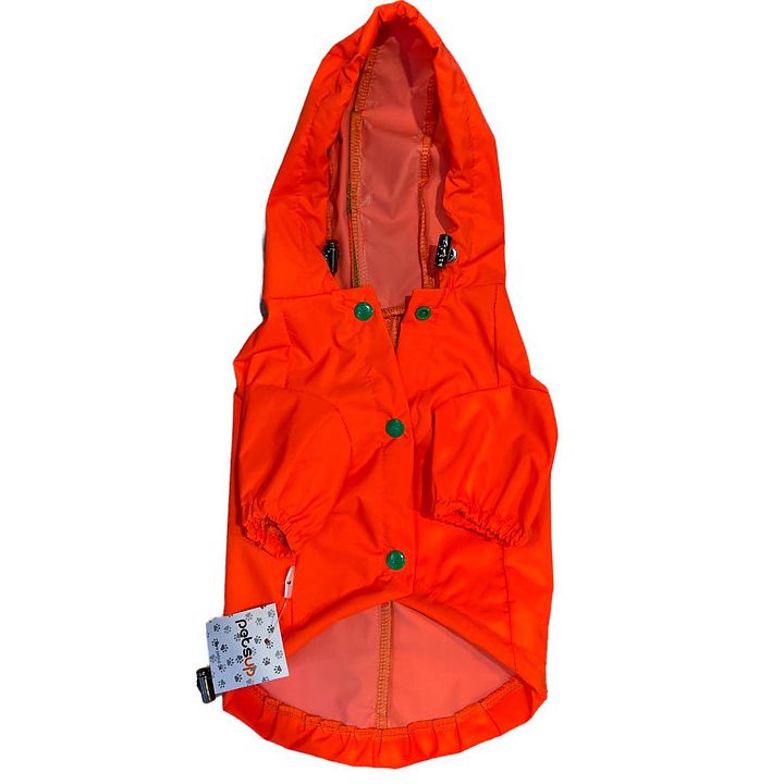 dzaghlis-satsvimari-dinozavri-s-photo-2