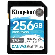 Product image of KINGSTON SDG3 256GB მეხსიერების ბარათი