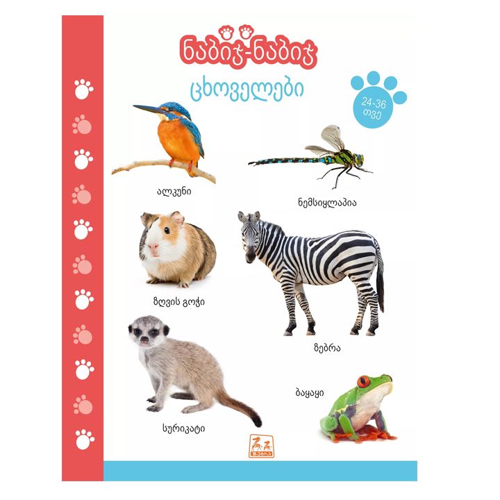 nabij-nabij-tskhovelebi-24-36-tve