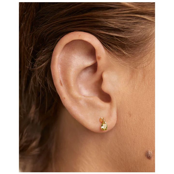 pg-green-lily-single-ear-saqure-photo-4