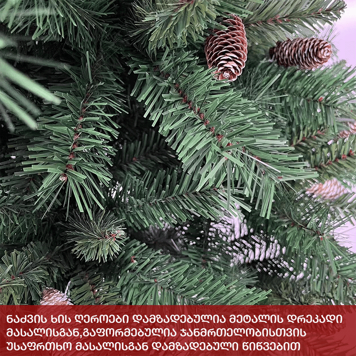 nadzvis-khe-norvegia-240sm-photo-3