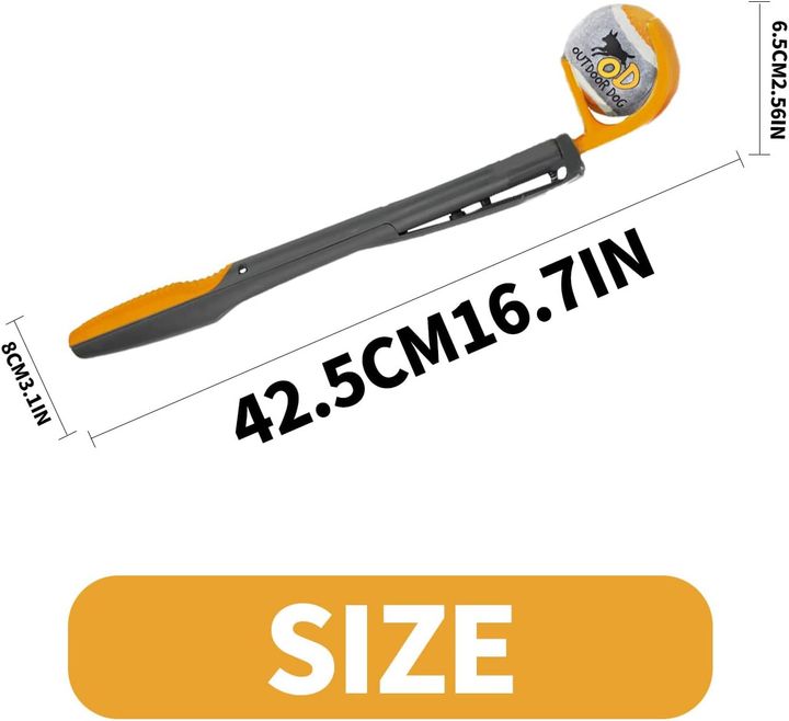 all-for-paws-burtis-sasroli-photo-2