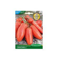 Product image of პომიდვრის თესლი