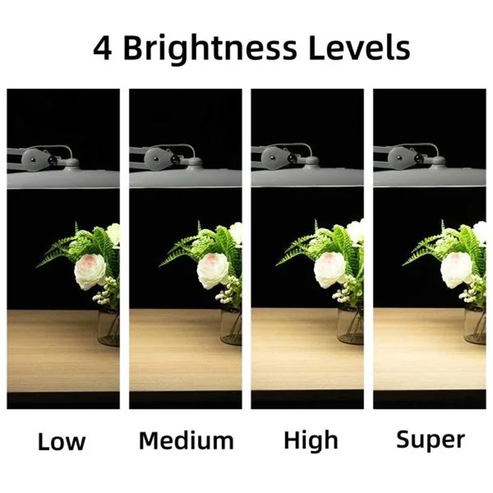 led-sanati-photo-2
