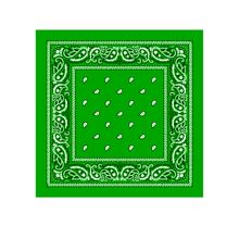 Product image of BANDANA ბენდენა სალათისფერი