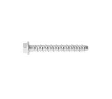 Product image of ჭანჭიკი ბეტონის RawlPlug M10 85 მმ ექვსწახნაგა თავით 10 ც R-S1-LXH10085Z/10