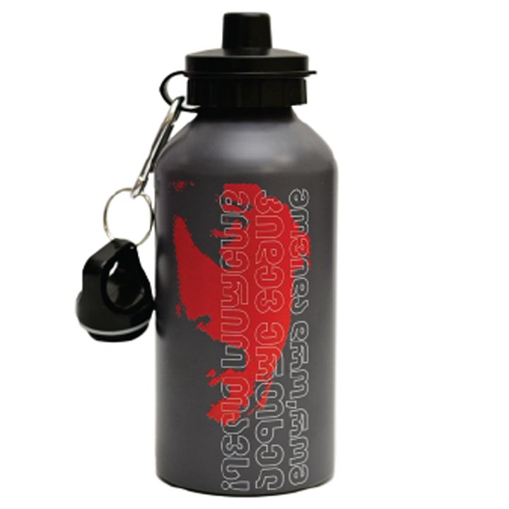 botli-charkviani---movida-dro-rom-kidev-ertkhel-moerio-tavs-500ml