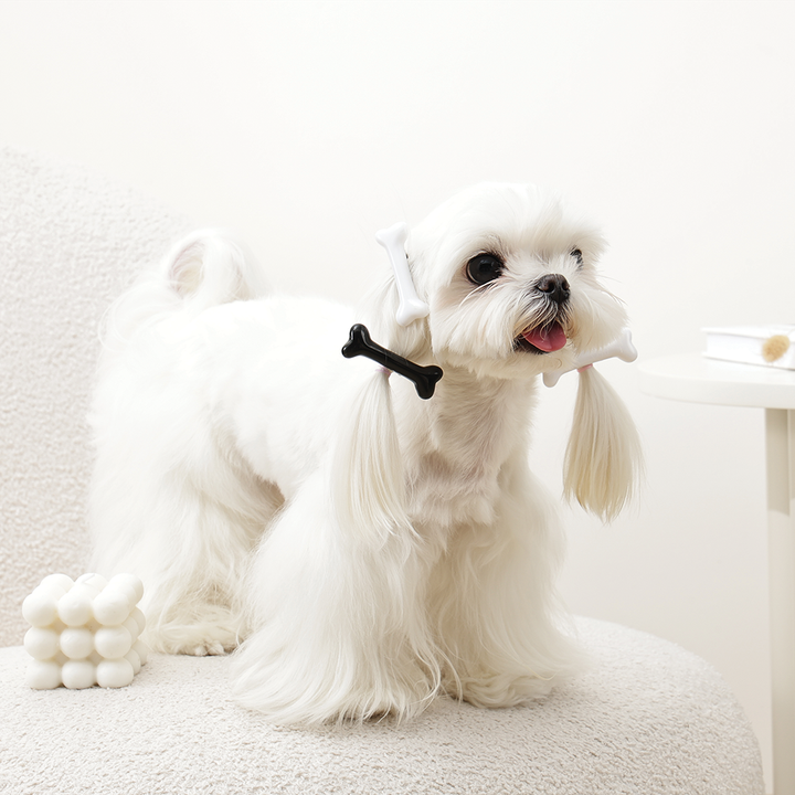 m-pets-glam-dzvlis-formis-tmis-samagri-klifsi-tskhovelebistvis-photo-2