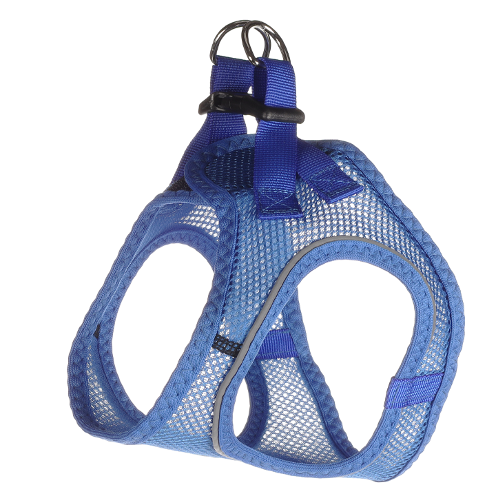 flamingo-dzaghlis-sabeli