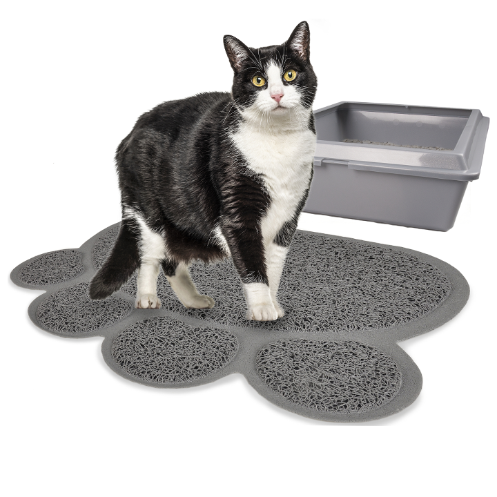 flamingo-katis-tualetis-khalicha-photo-2