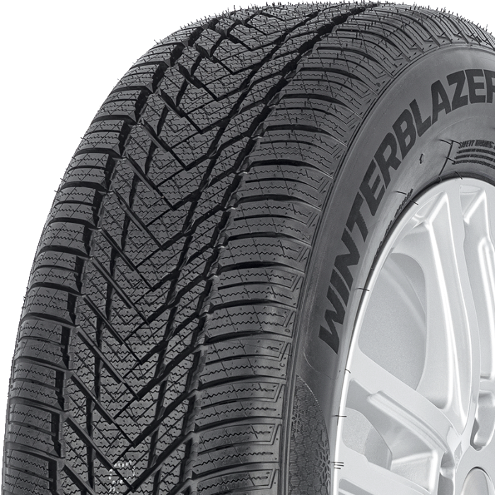 compasalwinterblazerhp20560r15zamtris-saburavi