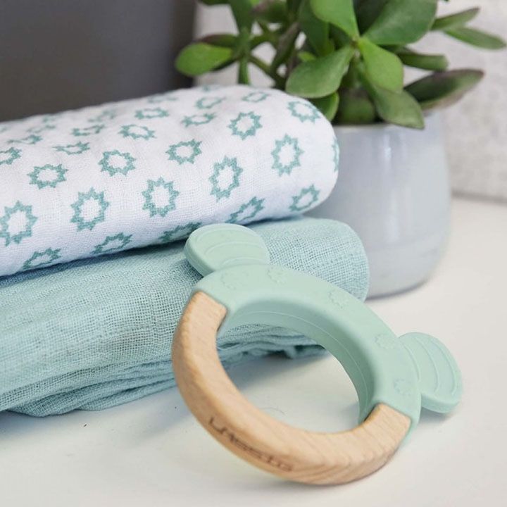 lassig-teether-ring-little-chums-dog-chvilis-satamasho-photo-2