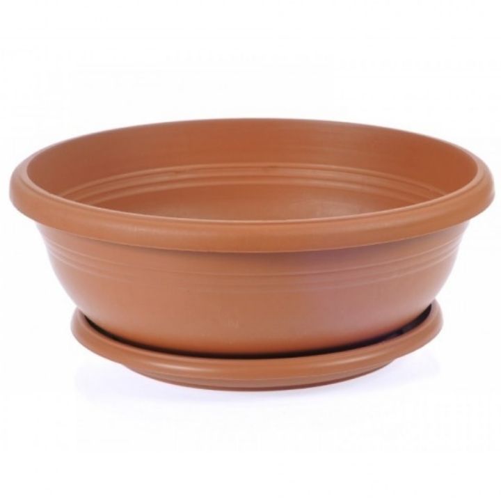 serinova-a004-19005-plastmasis-qotani-photo-2